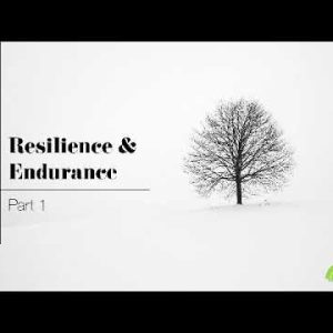 Resilience & Endurance part 1