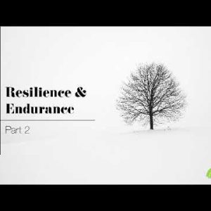Resilience & Endurance part 2