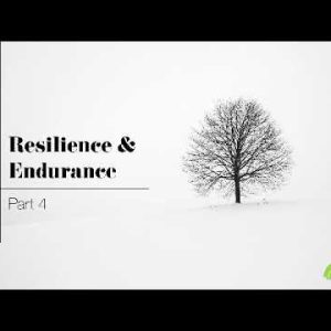 Resilience and Endurance part 4